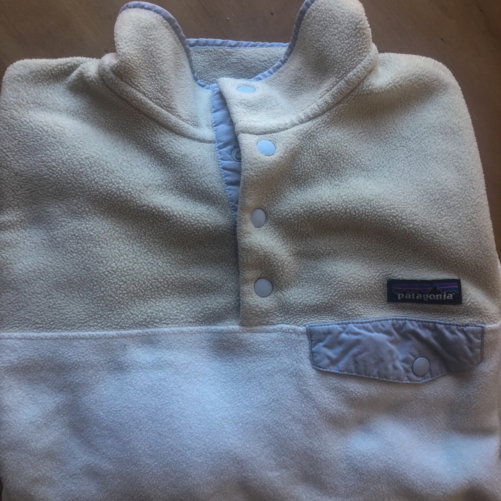 Patagonia Snap T Pullover